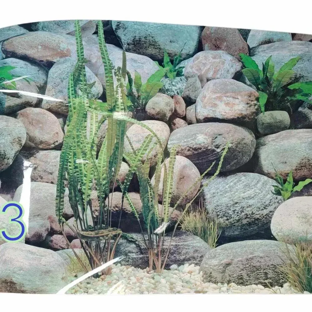 Aquarium/ Reptile Tank Backgrounds Choose your size- Double sided for added fun.